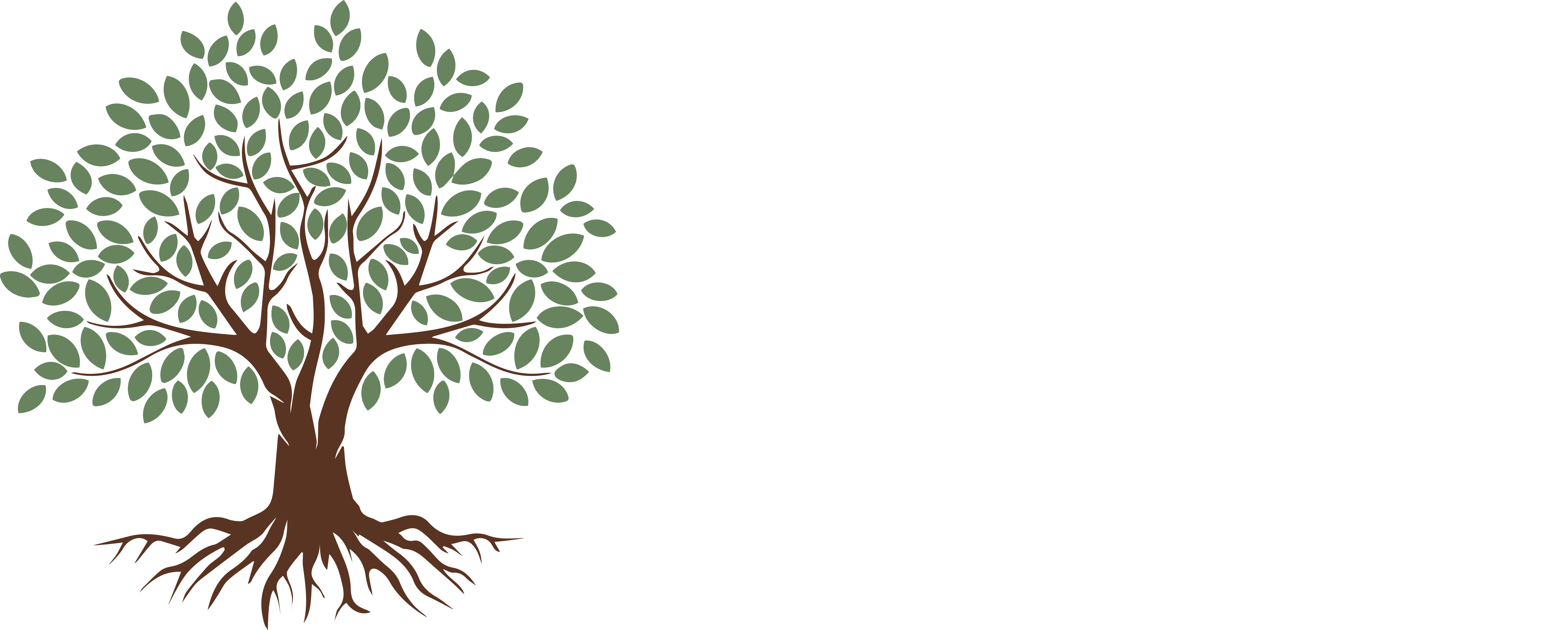 Olio di Piero